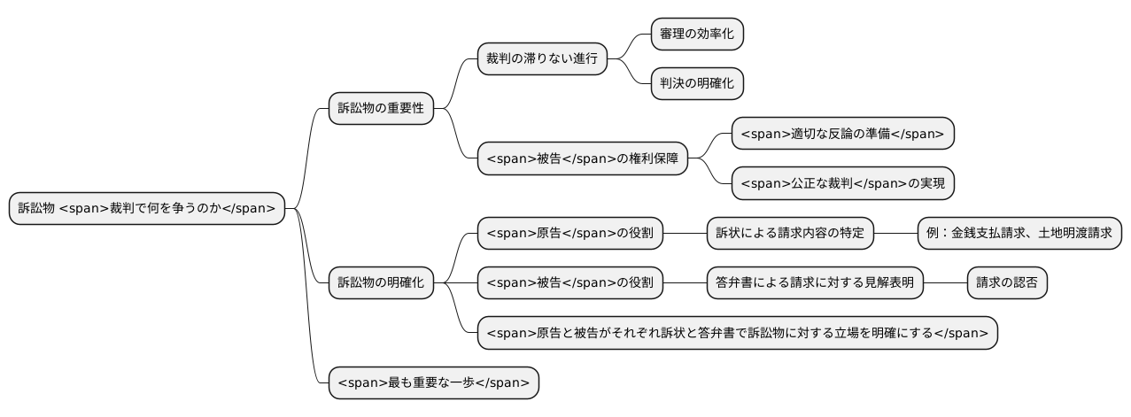 訴訟物の特定の重要性