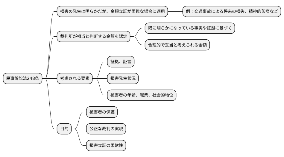 民事訴訟法248条の役割