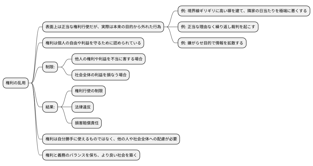 権利濫用の概要