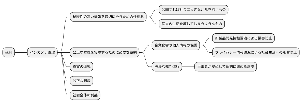 公正な審理を実現するために