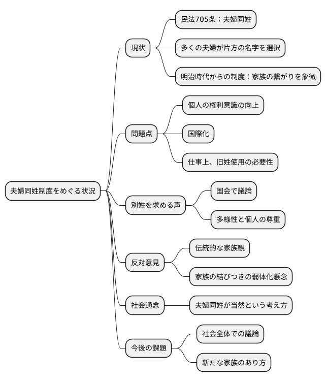 夫婦同姓の現状