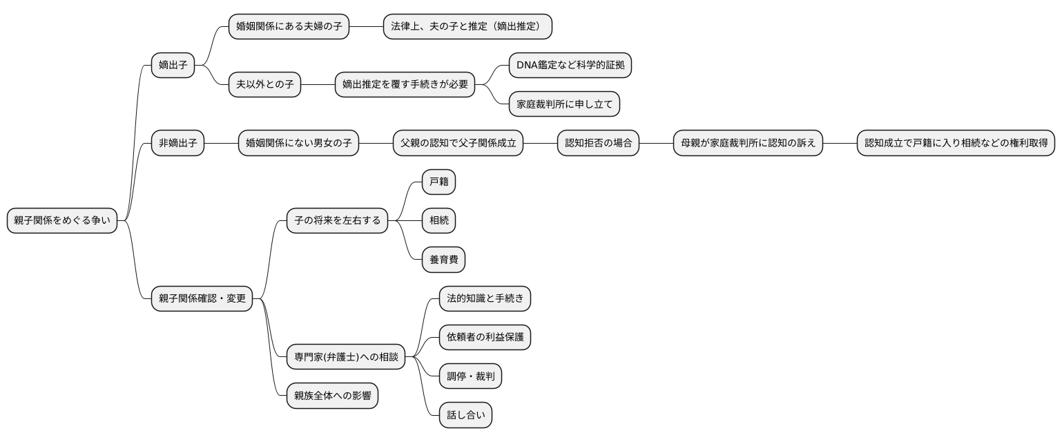 親子関係に関する紛争