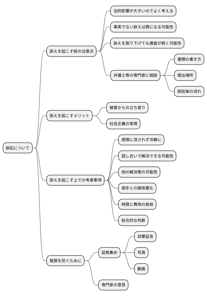 告訴の注意点