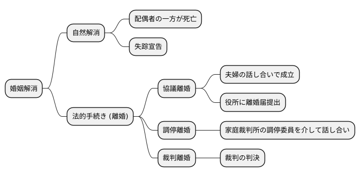 婚姻解消の概要