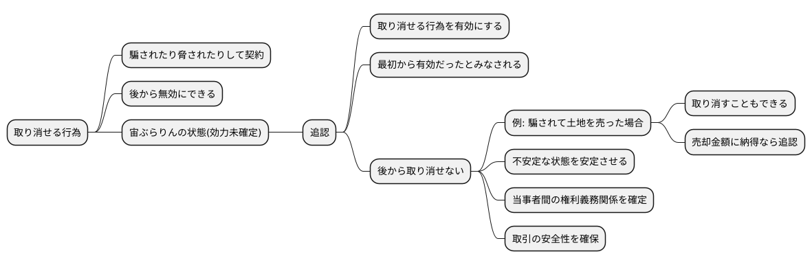 取り消せる行為の追認