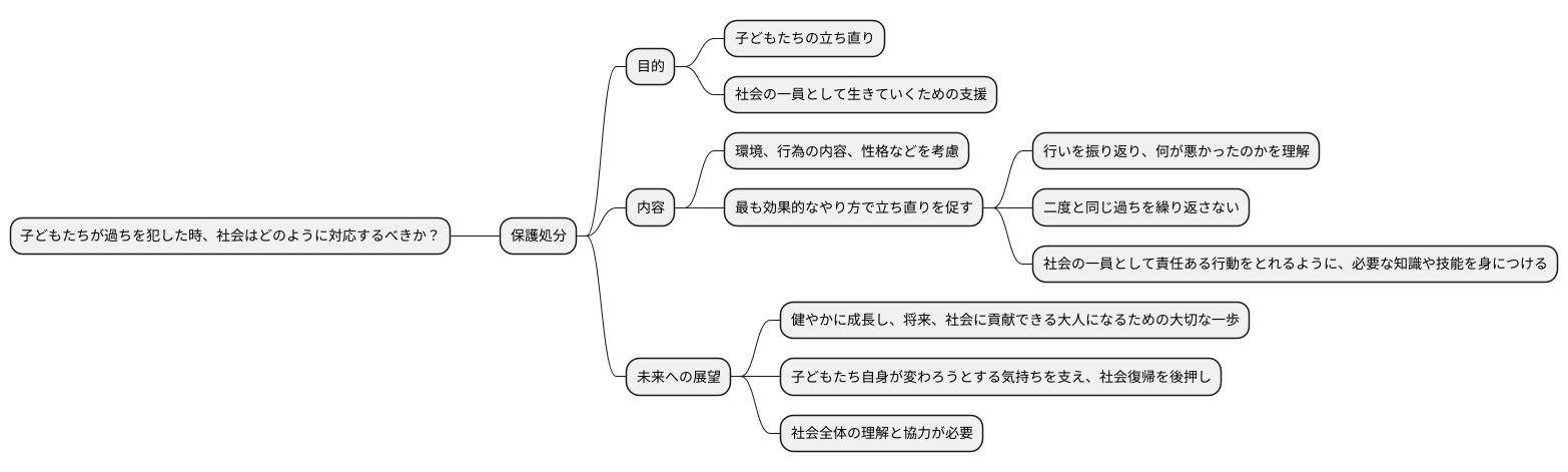 処分の目的と意義