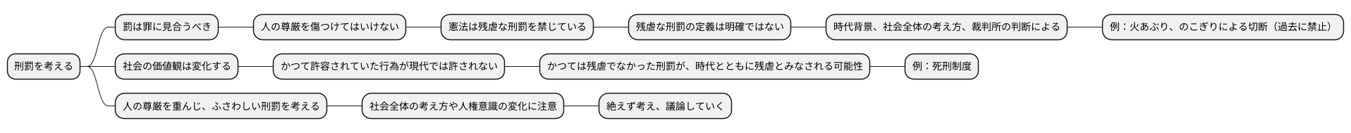 残虐な刑罰の判断基準