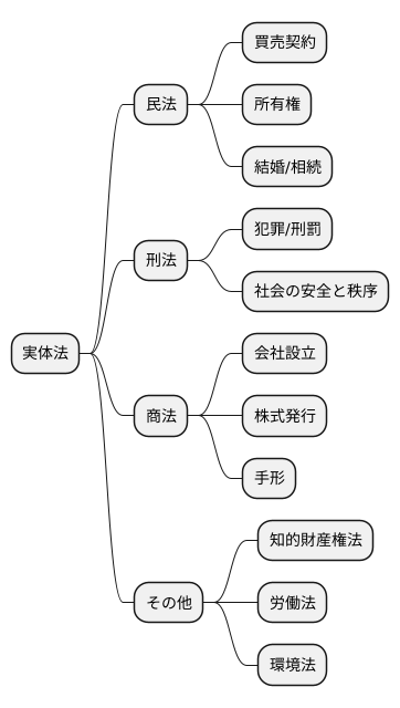 実体法の例