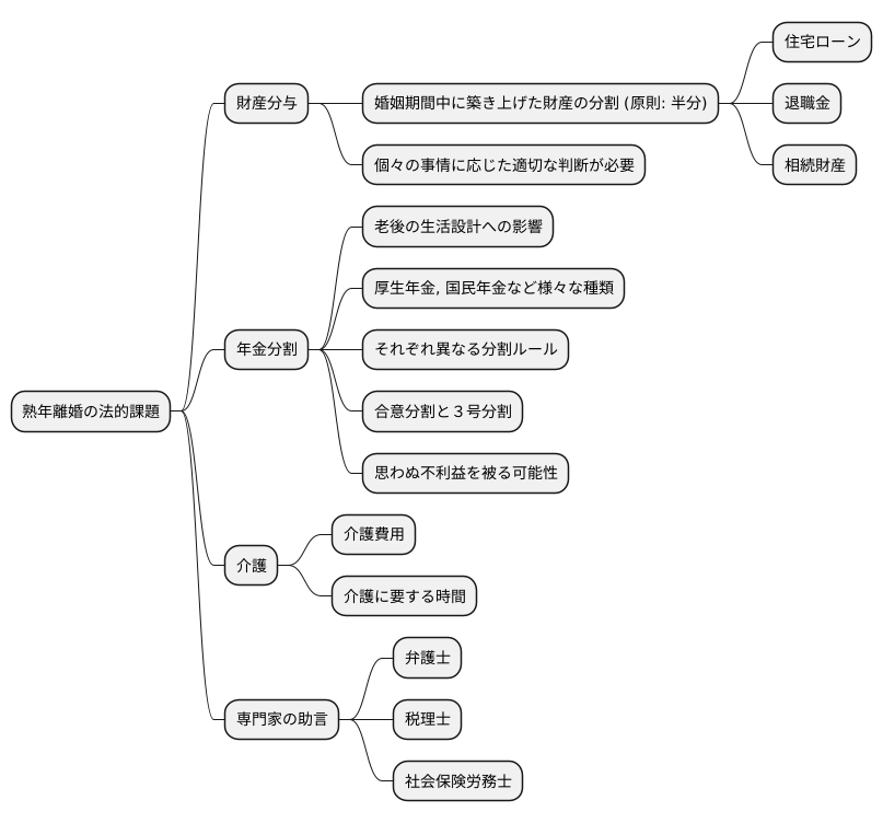 熟年離婚における法的課題