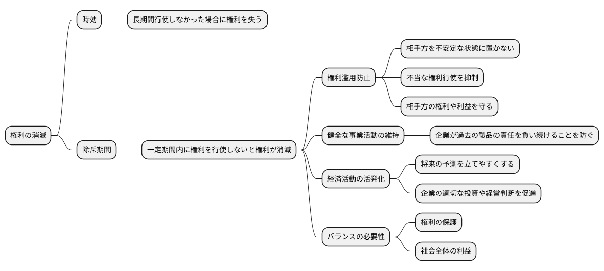 権利保護の観点