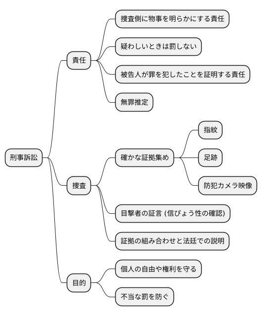 刑事訴訟における立証責任