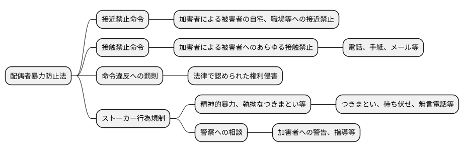 配偶者暴力防止法による保護